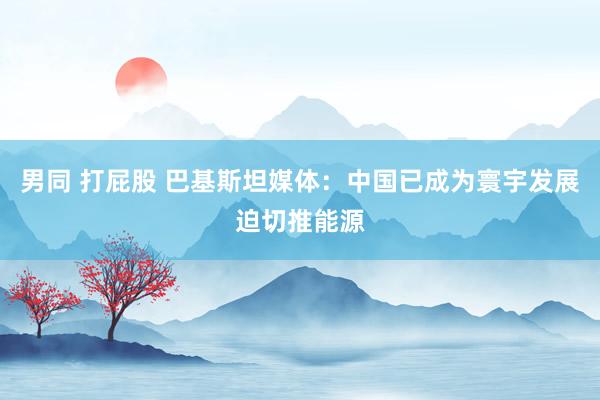 男同 打屁股 巴基斯坦媒体：中国已成为寰宇发展迫切推能源