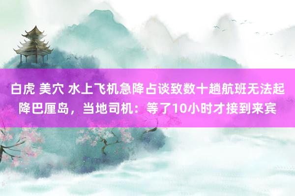 白虎 美穴 水上飞机急降占谈致数十趟航班无法起降巴厘岛，当地司机：等了10小时才接到来宾