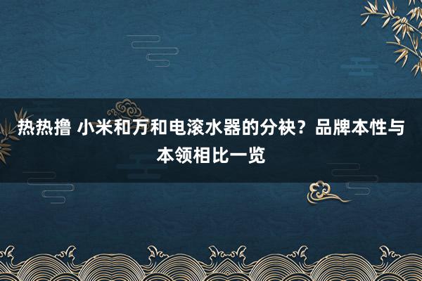 热热撸 小米和万和电滚水器的分袂？品牌本性与本领相比一览