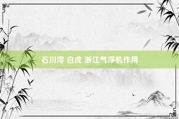 石川澪 白虎 浙江气浮机作用