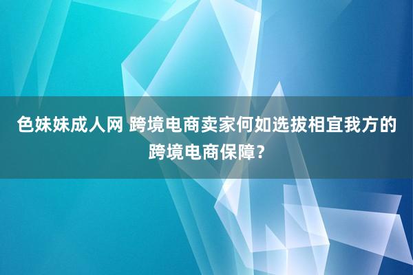 色妹妹成人网 跨境电商卖家何如选拔相宜我方的跨境电商保障？