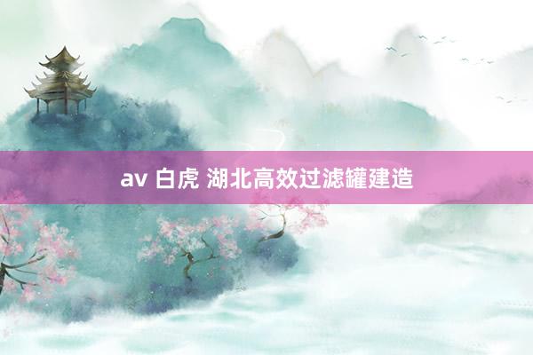 av 白虎 湖北高效过滤罐建造