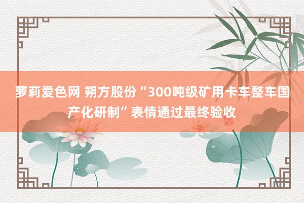萝莉爱色网 朔方股份“300吨级矿用卡车整车国产化研制”表情通过最终验收