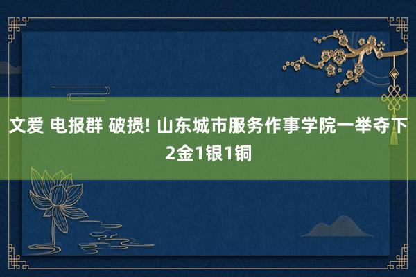 文爱 电报群 破损! 山东城市服务作事学院一举夺下2金1银1铜