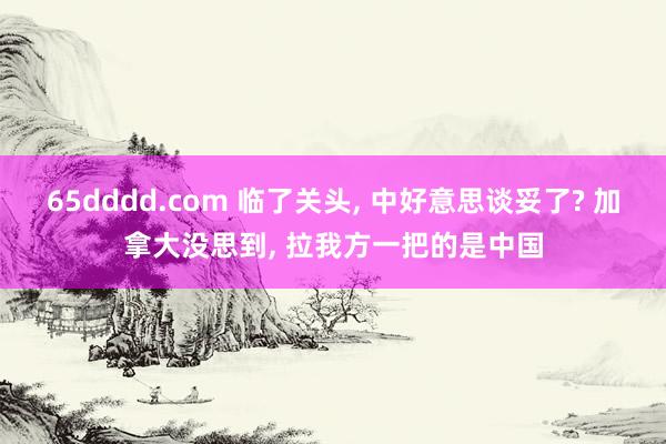65dddd.com 临了关头， 中好意思谈妥了? 加拿大没思到， 拉我方一把的是中国