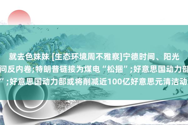 就去色妹妹 [生态环境周不雅察]宁德时间、阳光电源等光储巨头闭门盘问反内卷;特朗普链接为煤电“松捆”;好意思国动力部或将削减近100亿好意思元清洁动力资金