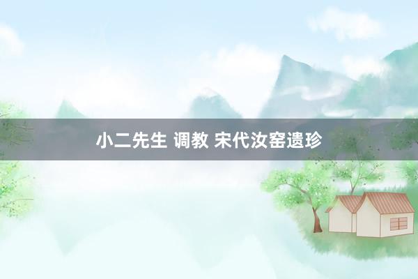 小二先生 调教 宋代汝窑遗珍