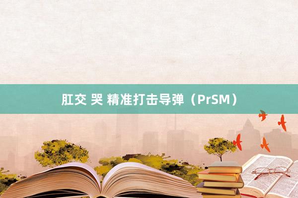 肛交 哭 精准打击导弹（PrSM）