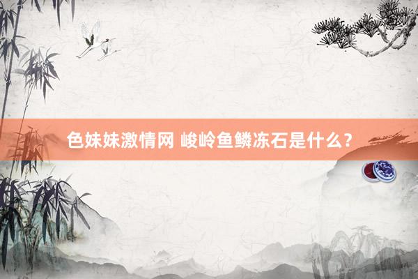 色妹妹激情网 峻岭鱼鳞冻石是什么？